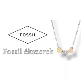FOSSIL